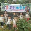 외갓집농장 이미지