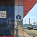 금마카센타 이미지