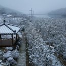 수나인