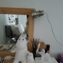 원미스파랜드 이미지