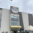물회세상 | 내돈내산 속초 찐맛집 청초수물회 추천 후기