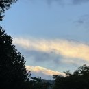 베러댕댕 이미지