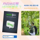 [광고]새로 오픈한 시장횟집 내돈내산