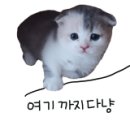 스타벅스 거제옥포DT점