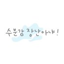 닥토 이미지
