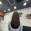 토리헤어동탄 | 동탄 미용실 토리헤어 청계점 뿌리염색, 밀본클리닉 내돈내산 후기
