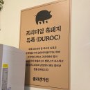 용인 수지 상현동 냉삼 맛집 콜라겐가든 본점