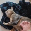 난곡점 현대자동차 이미지