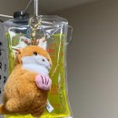 뉴포도나무요양병원 | [신규간호사 직장병행] 대학병원 이직 성공기 - pt.1 취준 배경 및 이직 결심계기 🏥