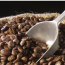 커피와 카페인 - 커피 속 화학물질 이미지
