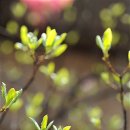 덕현허브 이미지