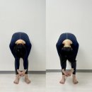 포레스트 피티 스튜디오(FORREST PT STUDIO) | 부천역필라테스 포레스트 스튜디오 프라이빗하게 필라테스 성공