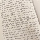 낮요가 | 홍대 요가쿨라 김이현 원장님 프리야 빈야사 수업 후기