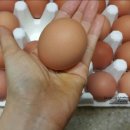 하민농장 이미지