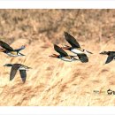 청도천2 이미지