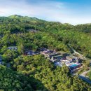 포레스트 리솜 이미지