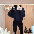 안암32 | 안암헬스장 PT 셀리핏에서 하체 운동과 함께 체지방 감량하는 루틴