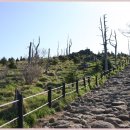 오토웨이 이미지