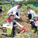 '제7회 괴산 감물감자축제' 성황리에 마무리 이미지