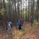 경승농장 이미지