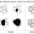성대식품 이미지