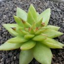 현광2농장 이미지