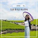 고고트래블 | 도쿄 근교 여행 후지산 당일치기 버스 일일투어 코스 비교