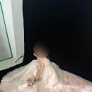 검정 | [스튜디오] 부겐빌리아 검정 배경 촬영 후기