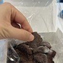 반해떡 | 강릉중앙시장맛집 찾다가 발견한 말랑곳간 떡 카스테라 인절미, 쑥·초코까지 반해버린 후기