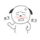 메리해피쫑 이미지