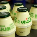 빙그레사 이미지