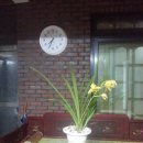 난꽃민박 이미지