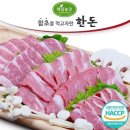 해밀 쇼핑하우