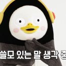 창앤데코