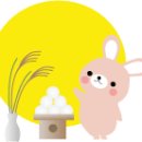 달토끼 Daum카페