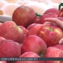 다진식품 이미지