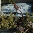 느티나무하우스 이미지