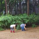 민달팽이 본날 이미지