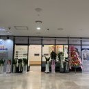 분당서울마취통증의학과의원 이미지