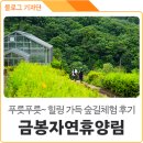 경북 의성 유일의 휴양림, &lt;금봉자연휴양림&gt; &#39;숲길체험프로그램&#39; 참여후기