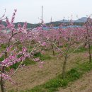 봉좌마을회관 이미지