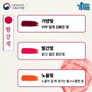 초록의파랑 이미지