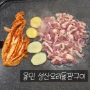 성산오리돌판구이