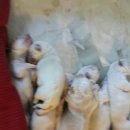 재순농장 이미지