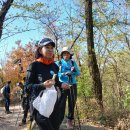 인왕산과 안산에 오른 아홉 멍들 (2024.11.13) 이미지