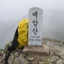 진태농장 티스토리