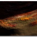 바람결에... 이미지