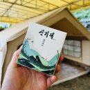 메디미스토리 | 캠핑과 집 모두 완벽 해결! 초파리약 &amp; 벌레퇴치제 추천 메디미샵 신기패 &amp; 초파리잘가 후기