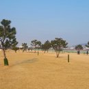 파크골프장1 이미지