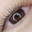 수원-1113 이미지